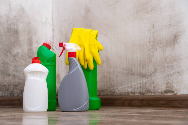 Why You Should Choose Our Mold Remediation Services in Bonner Springs, KS